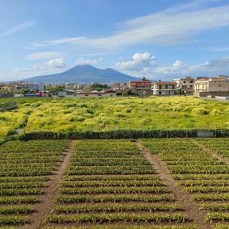 Apartman Lilla Housing Castellammare di Stabia