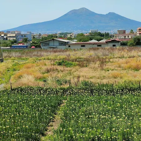 Lilla Housing Апартаменты