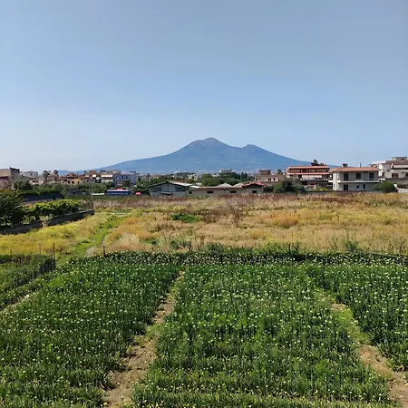 Lilla Housing * Castellammare di Stabia