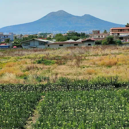 Lilla Housing Apartman Castellammare di Stabia