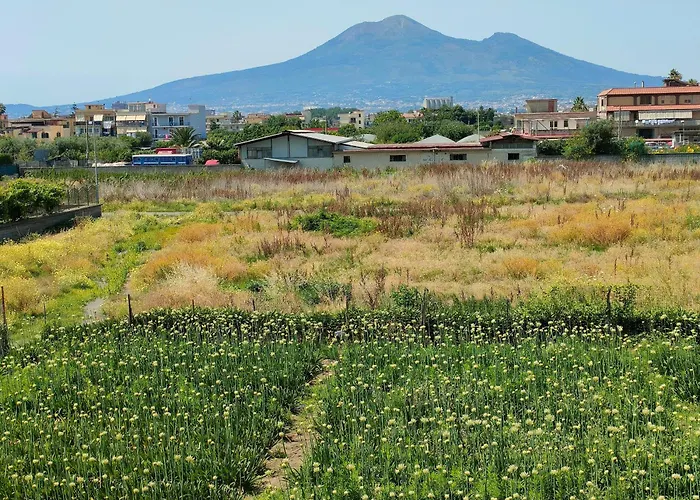 Lilla Housing Апартаменты