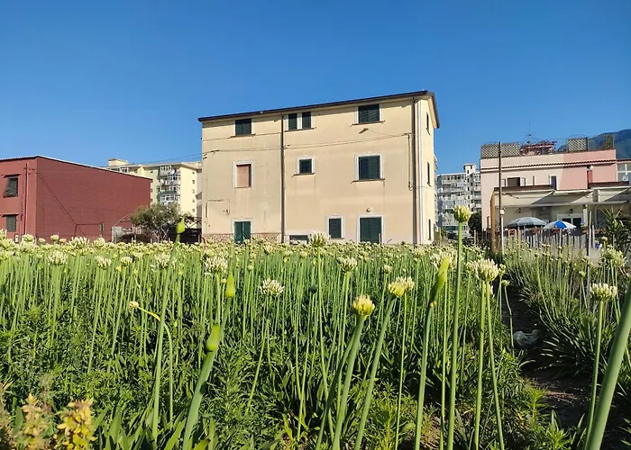 Lilla Housing Кастелламмаре-ди-Стабия