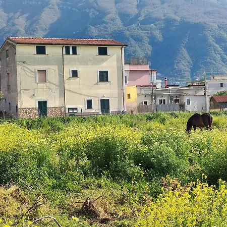 Lilla Housing Appartamento