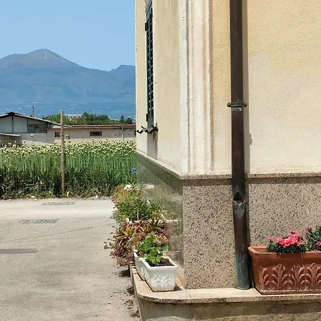 Lilla Housing Castellammare di Stabia